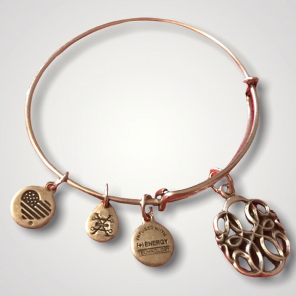 Alex and Ani Path of Life Expandable charm Bangle Bracelet / Color Silver